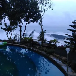 regina-silva-camping-nature-resort.kerala-hotels.net/
